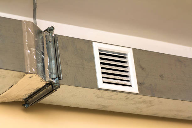 Best Ventilation Cleaning Services  in Windom, MN